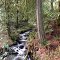 Roderick Creek