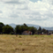 Kaputar National Park from Maules Creek Road, Narrabri