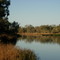Noccundra - Wilson River Camping