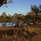 Wilson River Camping