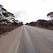 Eyre highway, WA