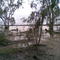 Reedy Lake
