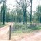 Whroo Historic Area camp ground