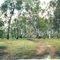 Rushworth State Forest: track to Reedy Lake