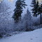 First Snow 1