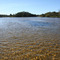WarrellCreek
