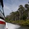 River between Scotts Head and Nambucca