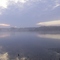 Fog on the Nambucca River
