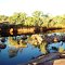Nanutarra,Ashburton River 4
