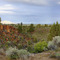 maggies canyon/deschutes river