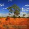 Termite Mount in the Kimberleys