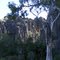 Windjana Gorge NP, WA