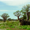 Gibb River Beef Road Kimberley