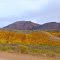 Coloured Hills