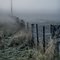 Fog