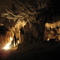 naracoorte caves