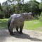 Naracoorte -Monumento grotte