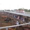Naracoorte Life Stock Exchange