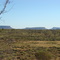 Near Nyirripi
