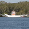 Ferry Noosa River