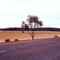bit of a saltplain near Norseman