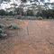 old gold miners cricket pitch in bush