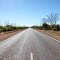 Norseman - New Life After Bush Fire