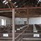 Old livestock sale yard-Northam March 2013