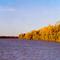 along the Norman River