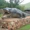 Kris the Crocodile