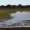 Wetlands near Normanton River
