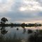 Eumong Swamp