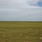 Plains Wanderer's - Wanderers Plain Grasslands
