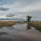 Lake Charm-Quambatook Road, December 2010