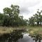 Rabbit Swamp, Wanderers Plain