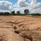 Erosion caused by Rabbits