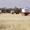 Field bins near Quambatook