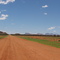 The way to Papunya