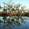 emucreek WA