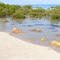 The beach at One Arm Point, the Kimberley, WA