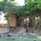 Ruins of Abbotsford House, Picton