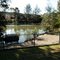 Picton Botanical Gardens Lake