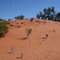 Red Sands of Roxby Downs