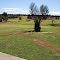 Lush golf course in the desert: view from the clubhouse