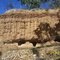 Starlight Gold Mining Claim - Omeo