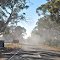 Down into the Omeo fog (I'll pick up the commission next time Paul)