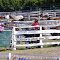Watching the action at Omeo Rodeo