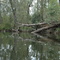 Fallen of the edge