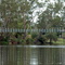 Suspended Bridge over Dora Creek