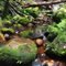 Little creek